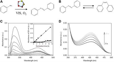 Probing oxygen activation on plasmonic photocatalysts